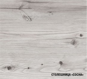 АСАЯ Кухонный гарнитур Экстра 2 (3000 мм) ПМ в Тарко-Сале - tarko-sale.ok-mebel.com | фото 8