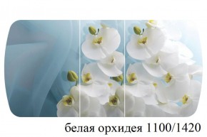 БОСТОН - 3 Стол раздвижной 1100/1420 опоры Триумф в Тарко-Сале - tarko-sale.ok-mebel.com | фото 9