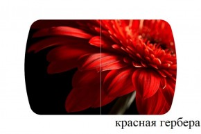 БОСТОН - 3 Стол раздвижной 1100/1420 опоры Триумф в Тарко-Сале - tarko-sale.ok-mebel.com | фото 18