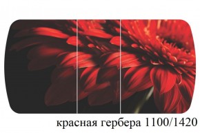 БОСТОН - 3 Стол раздвижной 1100/1420 опоры Триумф в Тарко-Сале - tarko-sale.ok-mebel.com | фото 19