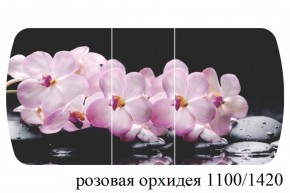 БОСТОН - 3 Стол раздвижной 1100/1420 опоры Триумф в Тарко-Сале - tarko-sale.ok-mebel.com | фото 34