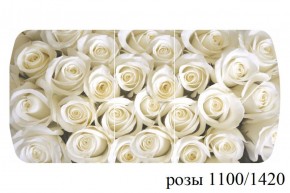 БОСТОН - 3 Стол раздвижной 1100/1420 опоры Триумф в Тарко-Сале - tarko-sale.ok-mebel.com | фото 37