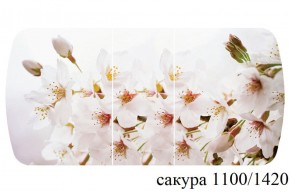 БОСТОН - 3 Стол раздвижной 1100/1420 опоры Триумф в Тарко-Сале - tarko-sale.ok-mebel.com | фото 40