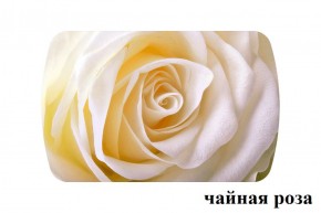 БОСТОН - 3 Стол раздвижной 1100/1420 опоры Триумф в Тарко-Сале - tarko-sale.ok-mebel.com | фото 47