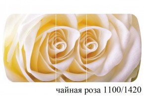 БОСТОН - 3 Стол раздвижной 1100/1420 опоры Триумф в Тарко-Сале - tarko-sale.ok-mebel.com | фото 48