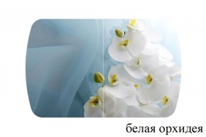 БОСТОН - 3 Стол раздвижной 1100/1420 опоры Триумф в Тарко-Сале - tarko-sale.ok-mebel.com | фото 8