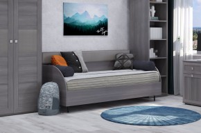 Диван-кровать 900 Парма Нео в Тарко-Сале - tarko-sale.ok-mebel.com | фото 4