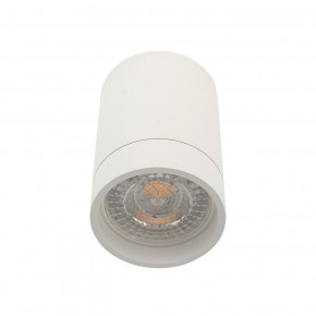 DK2050-WH Накладной светильник, IP 20, 15 Вт, GU5.3, белый, алюминий в Тарко-Сале - tarko-sale.ok-mebel.com | фото 3