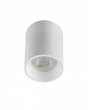 DK3110-WH Светильник накладной IP 20, 10 Вт, GU5.3, LED, белый, пластик в Тарко-Сале - tarko-sale.ok-mebel.com | фото 1