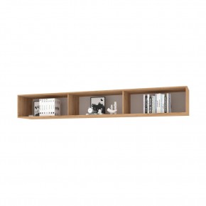 ФЛОРИДА Гостиная (модульная) дуб золотой/графит в Тарко-Сале - tarko-sale.ok-mebel.com | фото 13