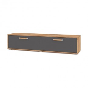 ФЛОРИДА Гостиная (модульная) дуб золотой/графит в Тарко-Сале - tarko-sale.ok-mebel.com | фото 5