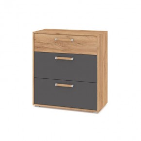 ФЛОРИДА Гостиная (модульная) дуб золотой/графит в Тарко-Сале - tarko-sale.ok-mebel.com | фото 8