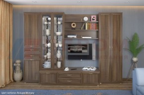 Гостиная Карина Композиция 14 (Акация Молдау) в Тарко-Сале - tarko-sale.ok-mebel.com | фото