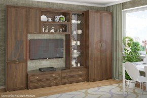 Гостиная Карина Композиция 16 (Акация Молдау) в Тарко-Сале - tarko-sale.ok-mebel.com | фото