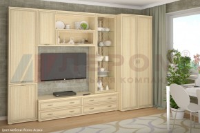 Гостиная Карина Композиция 16 (Ясень Асахи) в Тарко-Сале - tarko-sale.ok-mebel.com | фото