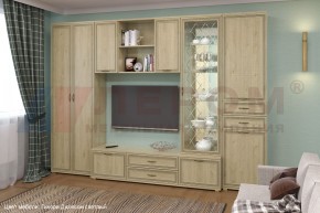 Гостиная Карина Композиция 21 (Гикори Джексон светлый) в Тарко-Сале - tarko-sale.ok-mebel.com | фото 6