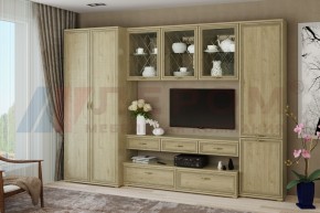 Гостиная Карина Композиция 23 (Гикори Джексон светлый) в Тарко-Сале - tarko-sale.ok-mebel.com | фото