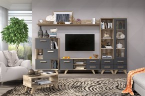 Гостиная Вега Скандинавия (комплект 6) в Тарко-Сале - tarko-sale.ok-mebel.com | фото 2