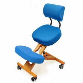 Коленный стул со спинкой Smartstool KW02В + Чехлы в Тарко-Сале - tarko-sale.ok-mebel.com | фото 2