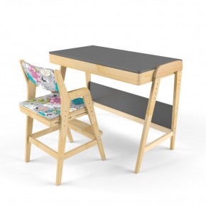 Комплект растущий стол и стул с чехлом 38 попугаев «Вуди» (Серый, Без покрытия, Мечта) в Тарко-Сале - tarko-sale.ok-mebel.com | фото
