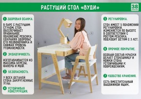 Комплект растущий стол и стул с чехлом 38 попугаев «Вуди» (Серый, Без покрытия, Мечта) в Тарко-Сале - tarko-sale.ok-mebel.com | фото 2