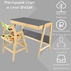 Комплект растущий стол и стул с чехлом 38 попугаев «Вуди» (Серый, Без покрытия, Монстры) в Тарко-Сале - tarko-sale.ok-mebel.com | фото