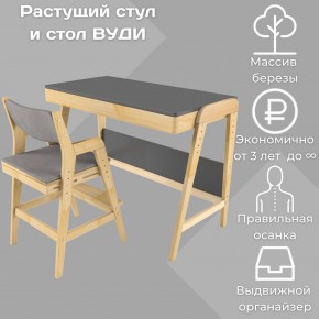 Комплект растущий стол и стул с чехлом 38 попугаев «Вуди» (Серый, Без покрытия, Серый) в Тарко-Сале - tarko-sale.ok-mebel.com | фото 1