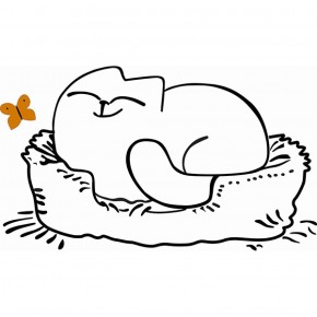 Кровать двухуровневая Кот № 900.1 ЛЕВАЯ (туя светлая/белый) в Тарко-Сале - tarko-sale.ok-mebel.com | фото 2