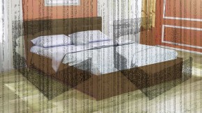 Кровать интерьерная Лита с латами 1600*2000 в Тарко-Сале - tarko-sale.ok-mebel.com | фото 4