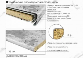 Кухонный фартук со столешницей (А-01) в едином стиле (3050 мм) в Тарко-Сале - tarko-sale.ok-mebel.com | фото 6