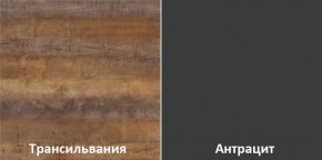 Кухонный гарнитур угловой Трансильвания 2600х1600 мм (Стол. 38 мм) в Тарко-Сале - tarko-sale.ok-mebel.com | фото 3