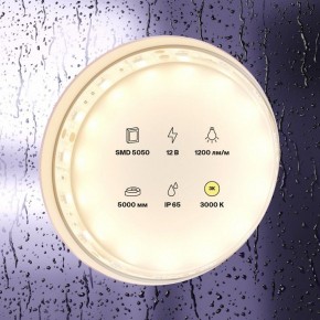 Лента светодиодная Maytoni Led strip 10131 в Тарко-Сале - tarko-sale.ok-mebel.com | фото 2