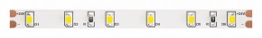 Лента светодиодная Maytoni Led strip 10138 в Тарко-Сале - tarko-sale.ok-mebel.com | фото