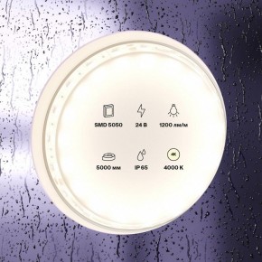 Лента светодиодная Maytoni Led strip 10172 в Тарко-Сале - tarko-sale.ok-mebel.com | фото 2