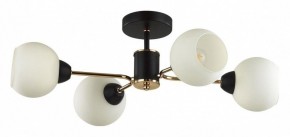 Люстра на штанге Lumion KODI 5646/4C в Тарко-Сале - tarko-sale.ok-mebel.com | фото