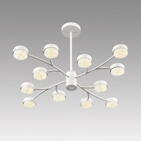 Люстра на штанге Lumion TORINA 8265/12 в Тарко-Сале - tarko-sale.ok-mebel.com | фото 5