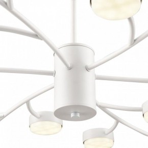 Люстра на штанге Lumion TORINA 8265/18 в Тарко-Сале - tarko-sale.ok-mebel.com | фото 8
