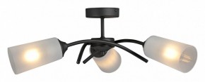 Люстра на штанге Vitaluce V2850 V2850-1/3PL в Тарко-Сале - tarko-sale.ok-mebel.com | фото 3