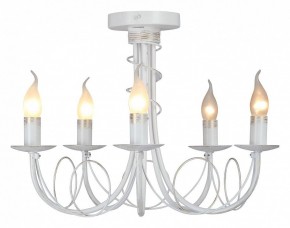 Люстра на штанге Vitaluce V3035 V3035-0/5PL в Тарко-Сале - tarko-sale.ok-mebel.com | фото 2