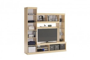 МАКСИ Мини-стенка дуб сонома/белое дерево в Тарко-Сале - tarko-sale.ok-mebel.com | фото 1
