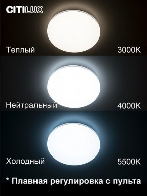 Накладной светильник Citilux Симпла CL714330G в Тарко-Сале - tarko-sale.ok-mebel.com | фото 4