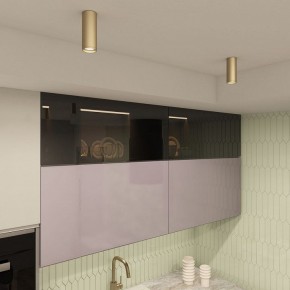 Накладной светильник Denkirs TUBE DK2051-SG в Тарко-Сале - tarko-sale.ok-mebel.com | фото 4