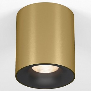 Накладной светильник Elektrostandard Primo 25116/LED в Тарко-Сале - tarko-sale.ok-mebel.com | фото
