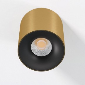 Накладной светильник Elektrostandard Primo 25116/LED в Тарко-Сале - tarko-sale.ok-mebel.com | фото