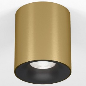 Накладной светильник Elektrostandard Primo 25116/LED в Тарко-Сале - tarko-sale.ok-mebel.com | фото 2