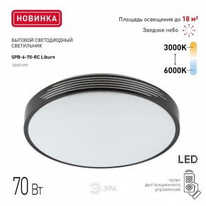 Накладной светильник Эра Классик SPB-6-70-RC Liburn в Тарко-Сале - tarko-sale.ok-mebel.com | фото 10