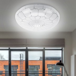 Накладной светильник Эра  SPB-6-18-6,5K Pautina в Тарко-Сале - tarko-sale.ok-mebel.com | фото 2
