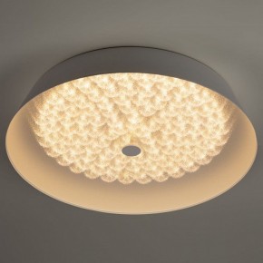 Накладной светильник Эра  SPB-6-60-RC Locus RGB в Тарко-Сале - tarko-sale.ok-mebel.com | фото 6