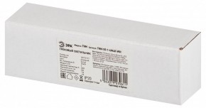 Накладной светильник Эра  TRM-S5-1-6W4K-WH в Тарко-Сале - tarko-sale.ok-mebel.com | фото 6
