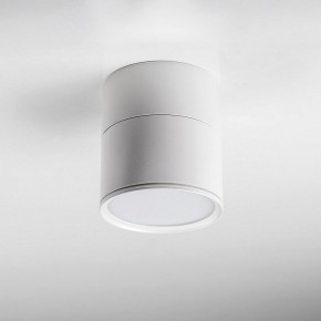Накладной светильник Lightstar Acuto 215886 в Тарко-Сале - tarko-sale.ok-mebel.com | фото 3